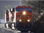 BNSF 7360 Morning Leader